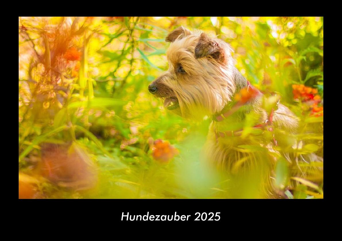 Hundezauber 2025 Fotokalender DIN A3