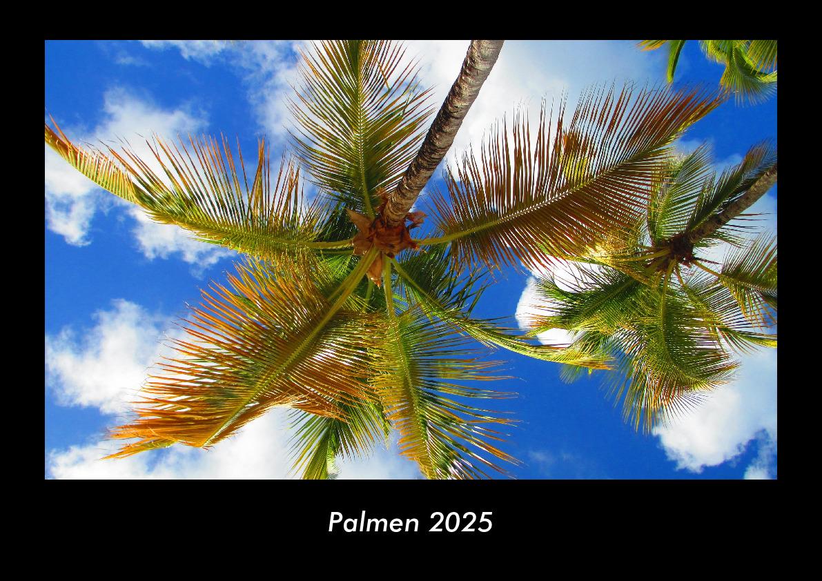 Palmen 2025 Fotokalender DIN A3