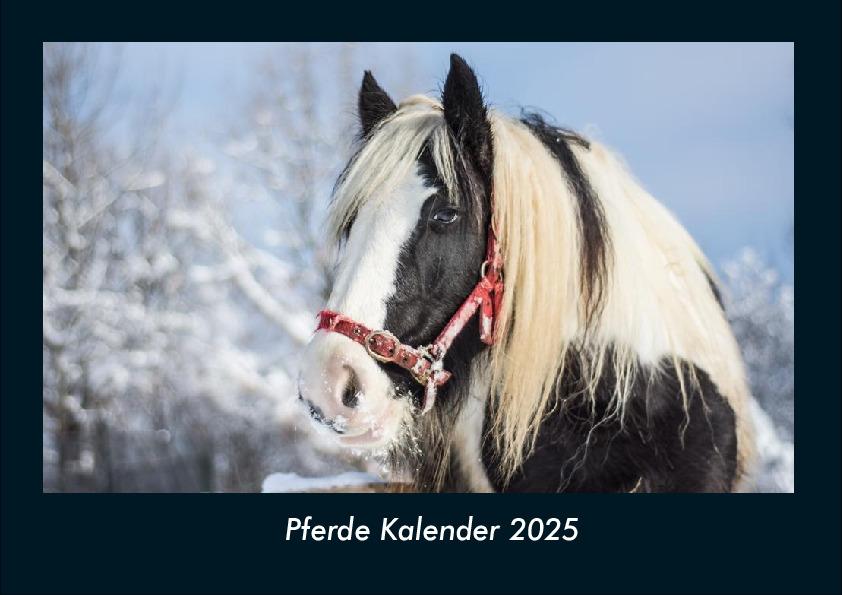 Pferde Kalender 2025 Fotokalender DIN A4