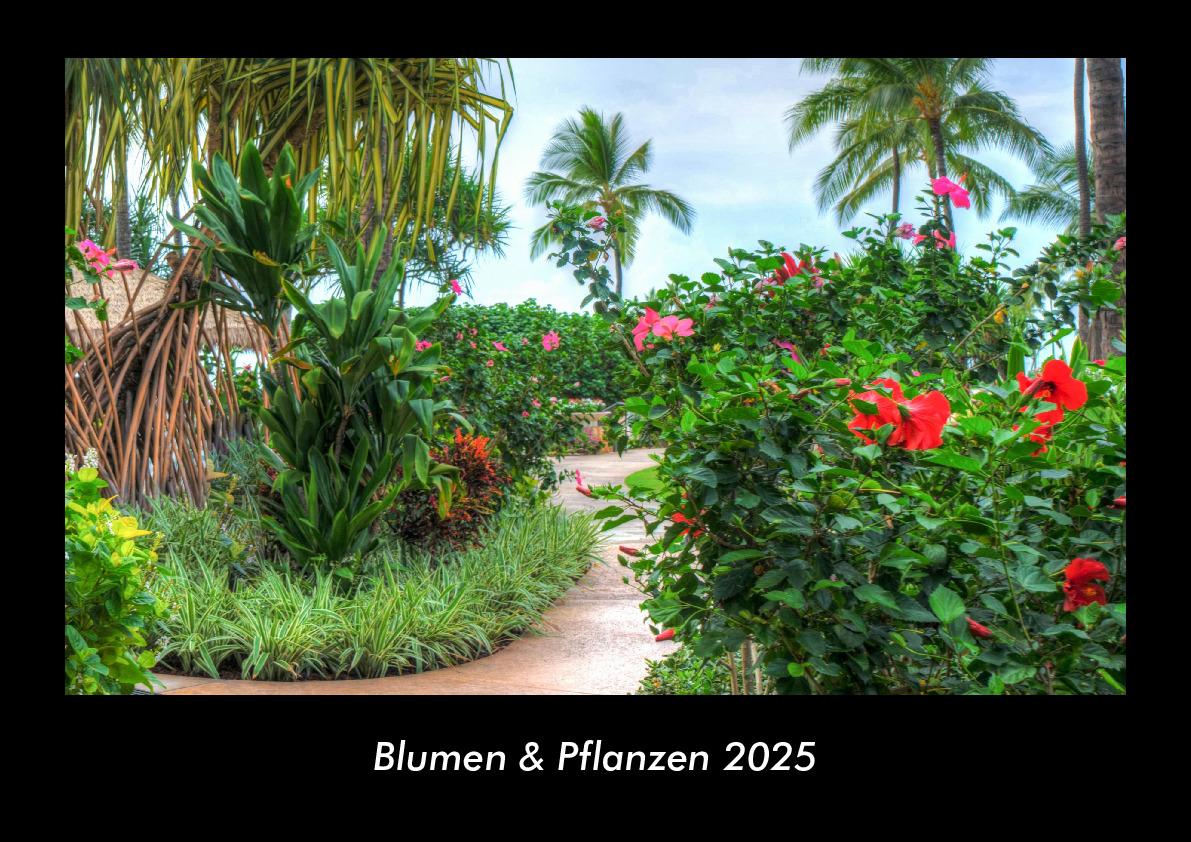 Blumen & Pflanzen 2025 Fotokalender DIN A3