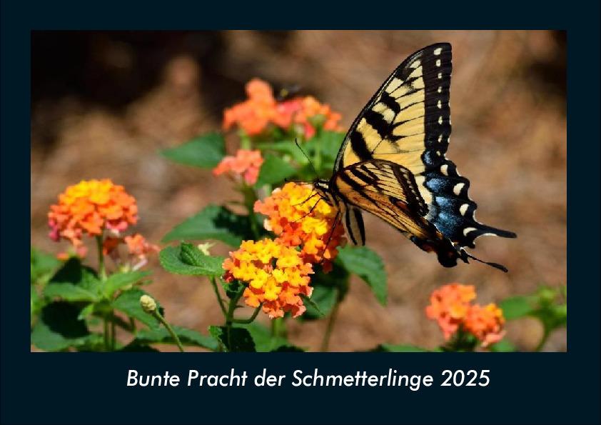 Bunte Pracht der Schmetterlinge 2025 Fotokalender DIN A4