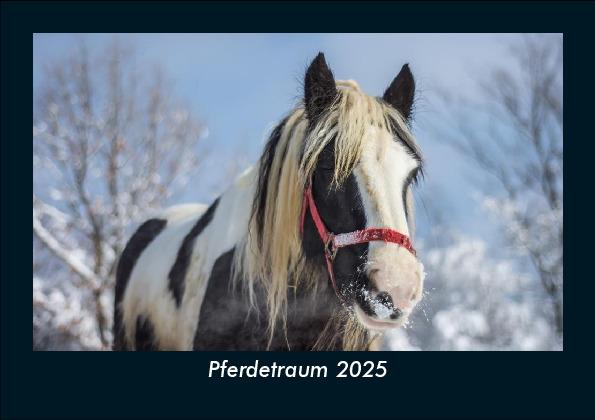 Pferdetraum 2025 Fotokalender DIN A5
