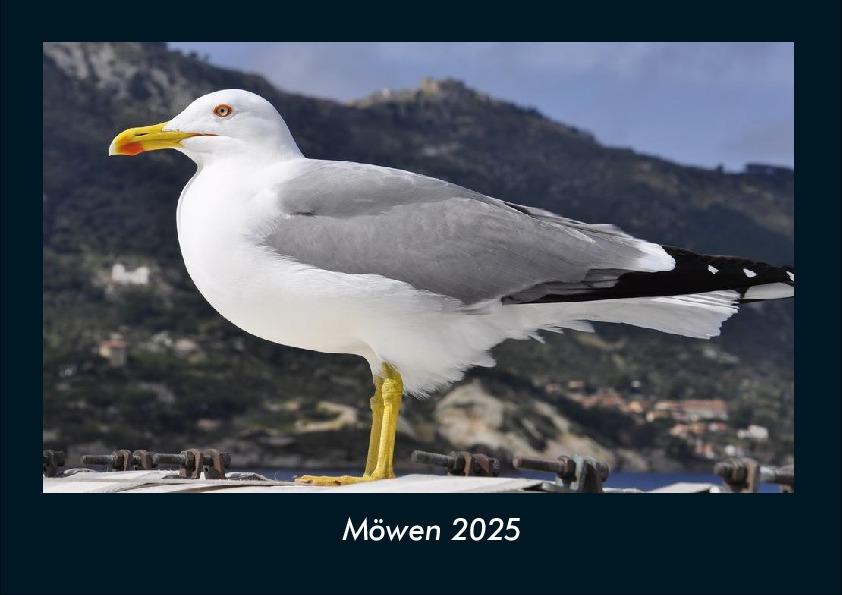 Möwen 2025 Fotokalender DIN A4