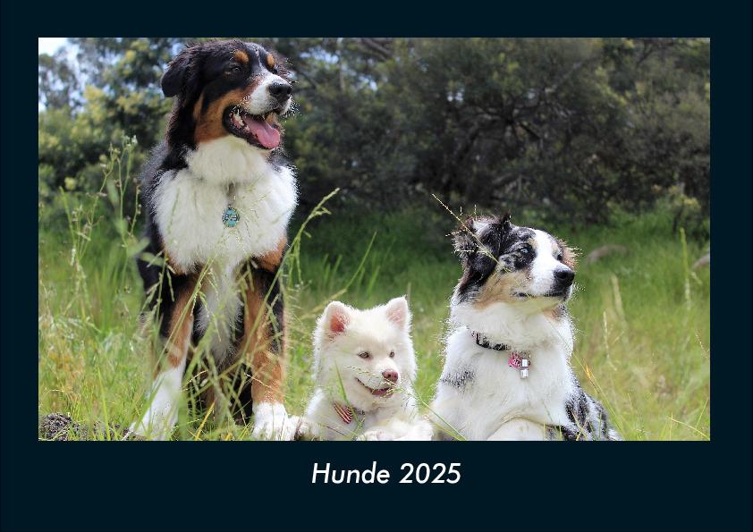 Hunde 2025 Fotokalender DIN A4