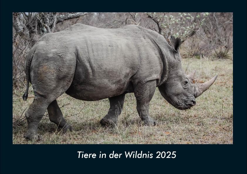 Tiere in der Wildnis 2025 Fotokalender DIN A4