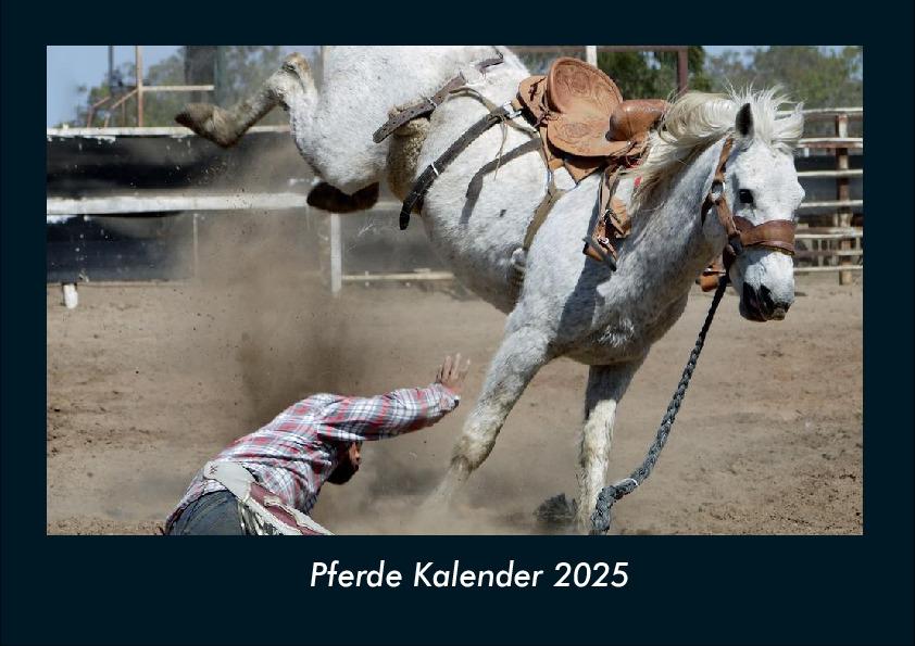 Pferde Kalender 2025 Fotokalender DIN A4