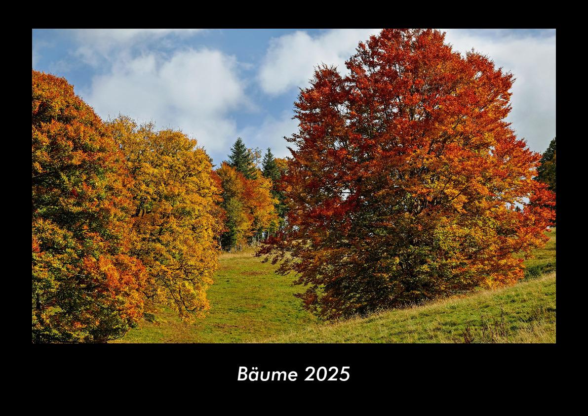 Bäume 2025 Fotokalender DIN A3