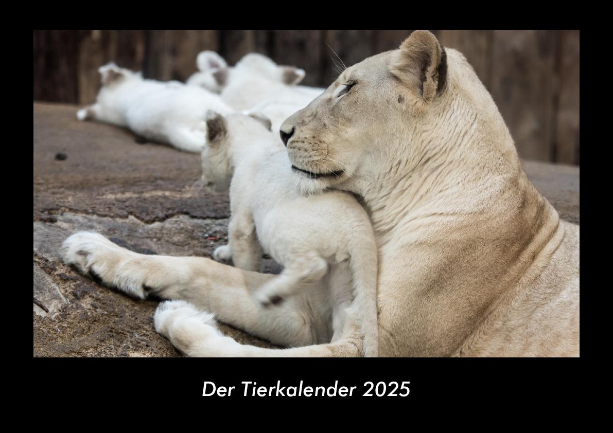 Der Tierkalender 2025 Fotokalender DIN A3
