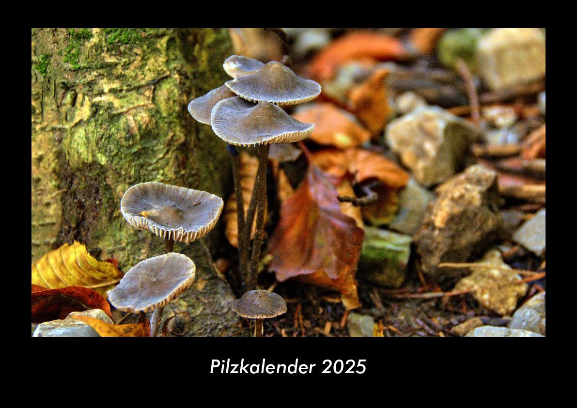 Pilzkalender 2025 Fotokalender DIN A3