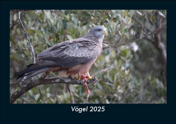Vögel 2025 Fotokalender DIN A5