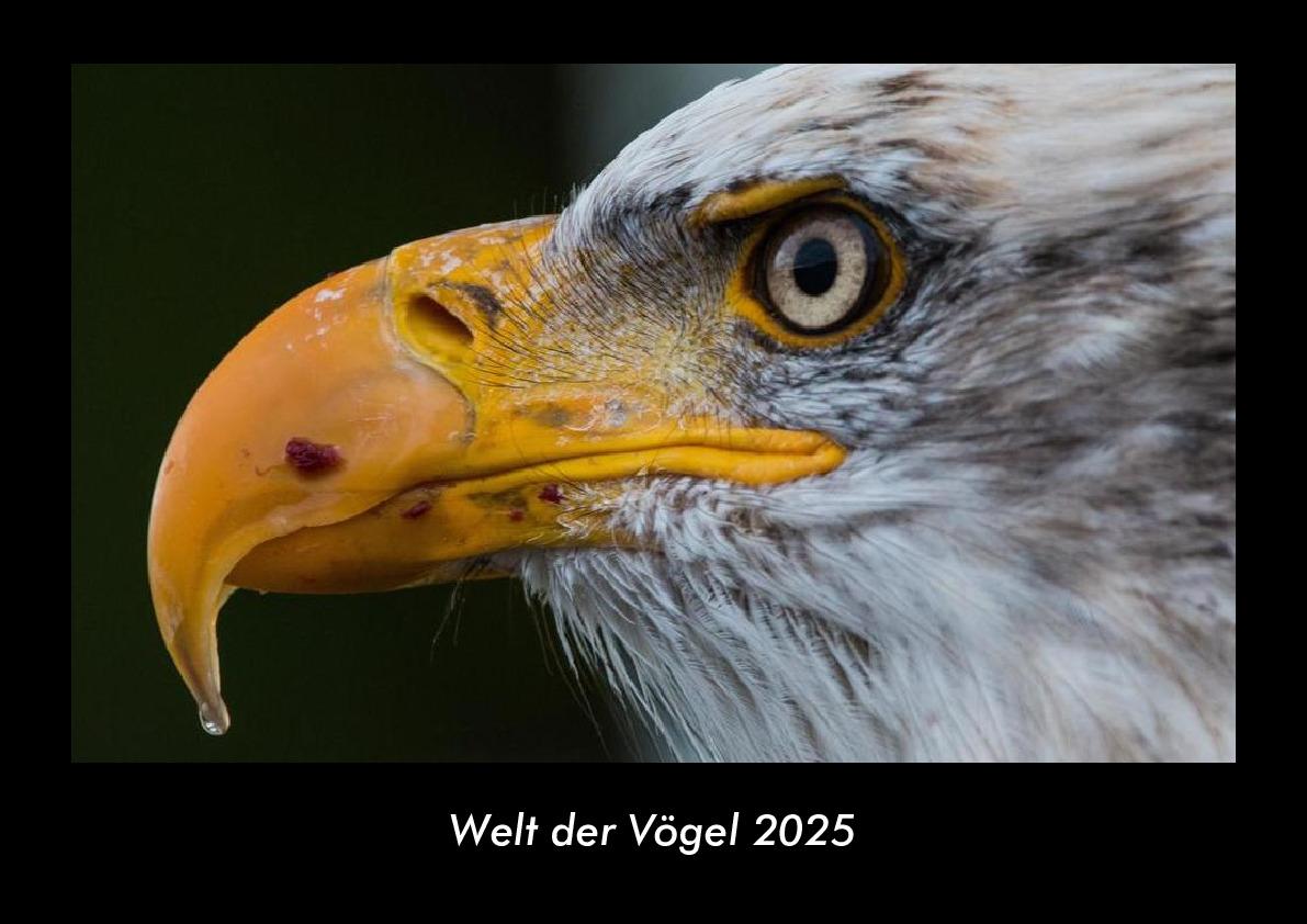Welt der Vögel 2025 Fotokalender DIN A3