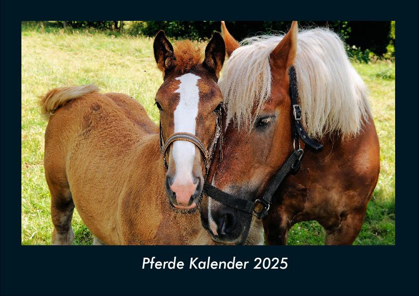 Pferde Kalender 2025 Fotokalender DIN A4