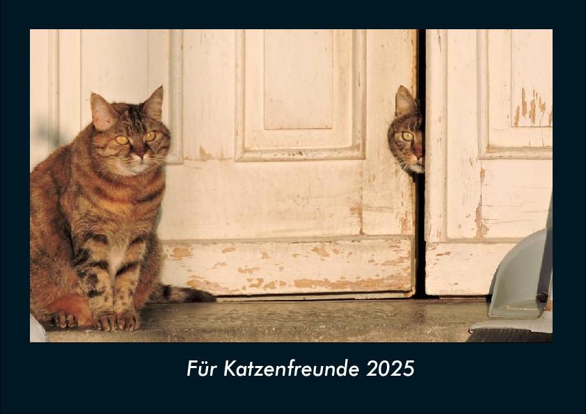 Für Katzenfreunde 2025 Fotokalender DIN A4