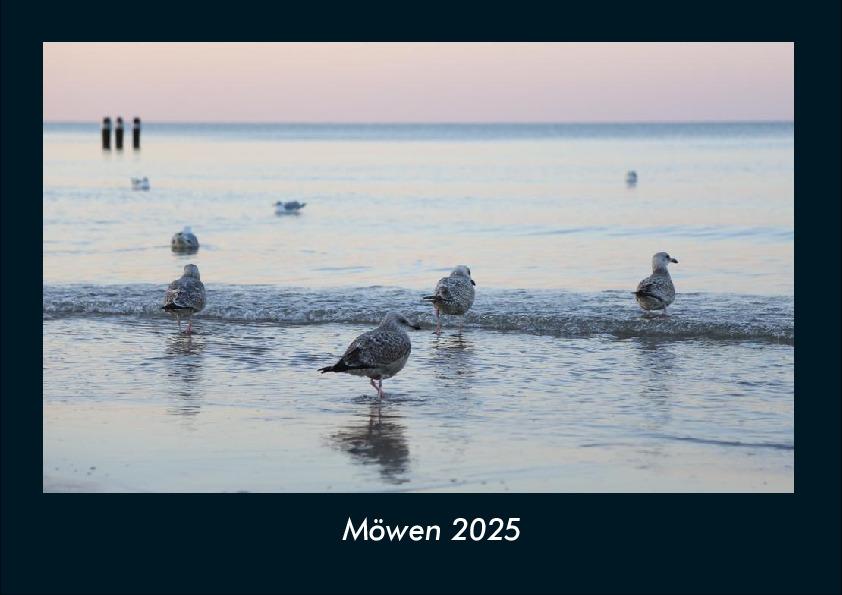 Möwen 2025 Fotokalender DIN A4