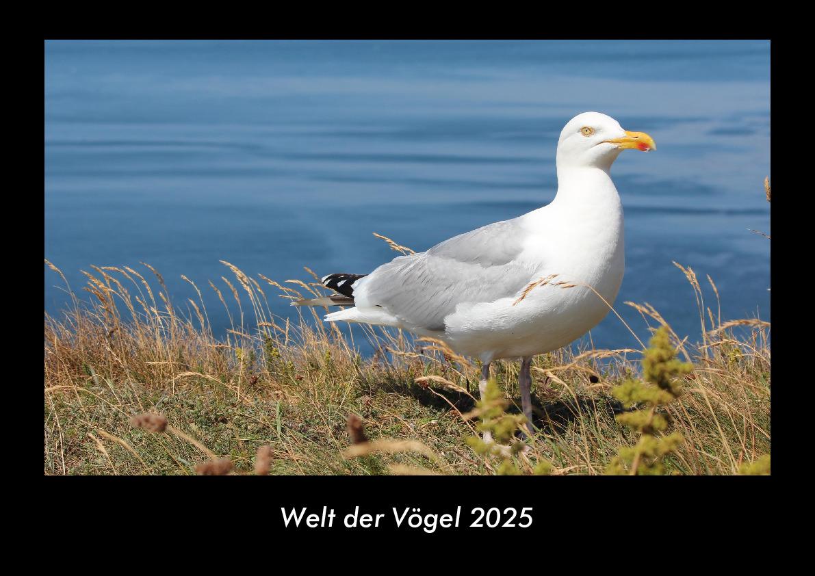 Welt der Vögel 2025 Fotokalender DIN A3