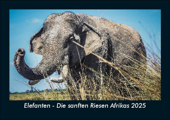 Elefanten - Die sanften Riesen Afrikas 2025 Fotokalender DIN A5