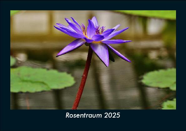Rosentraum 2025 Fotokalender DIN A5
