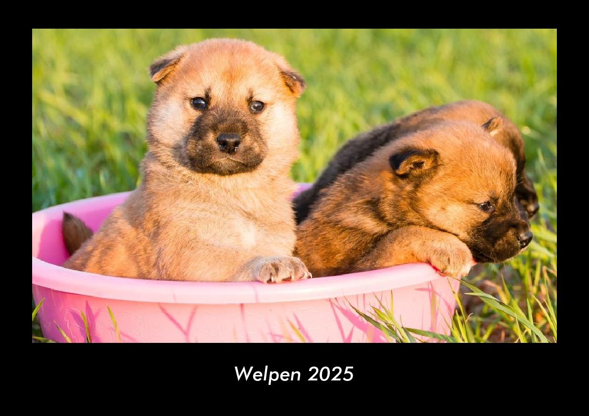 Welpen 2025 Fotokalender DIN A3