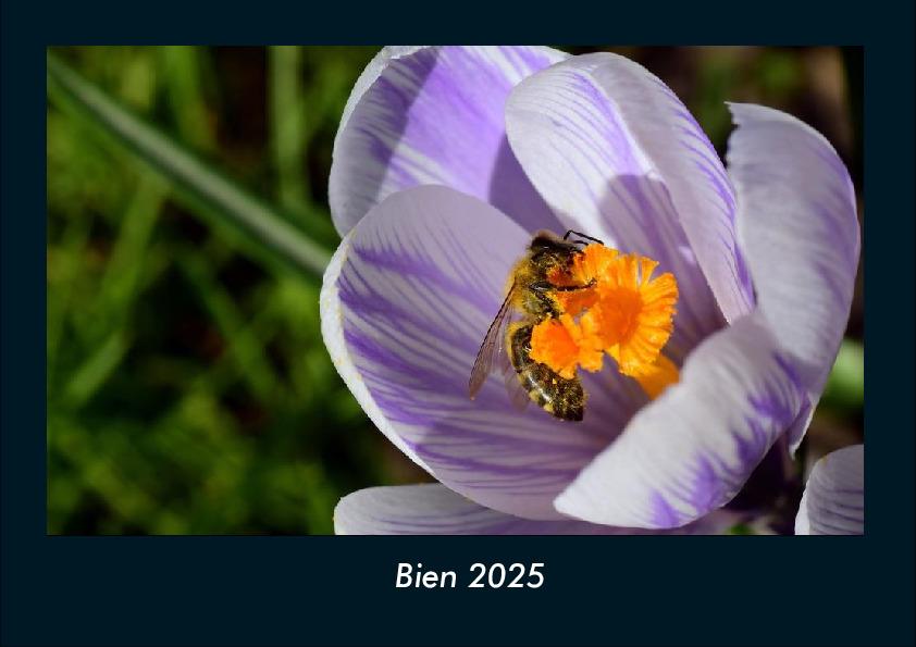 Bien 2025 Fotokalender DIN A4