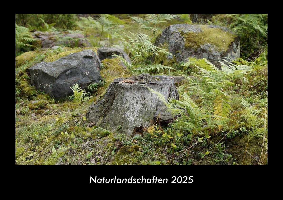 Naturlandschaften 2025 Fotokalender DIN A3