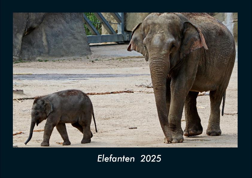 Elefanten 2025 Fotokalender DIN A4