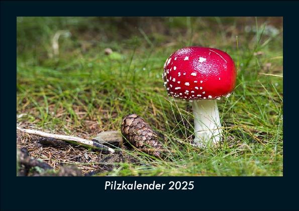 Pilzkalender 2025 Fotokalender DIN A5