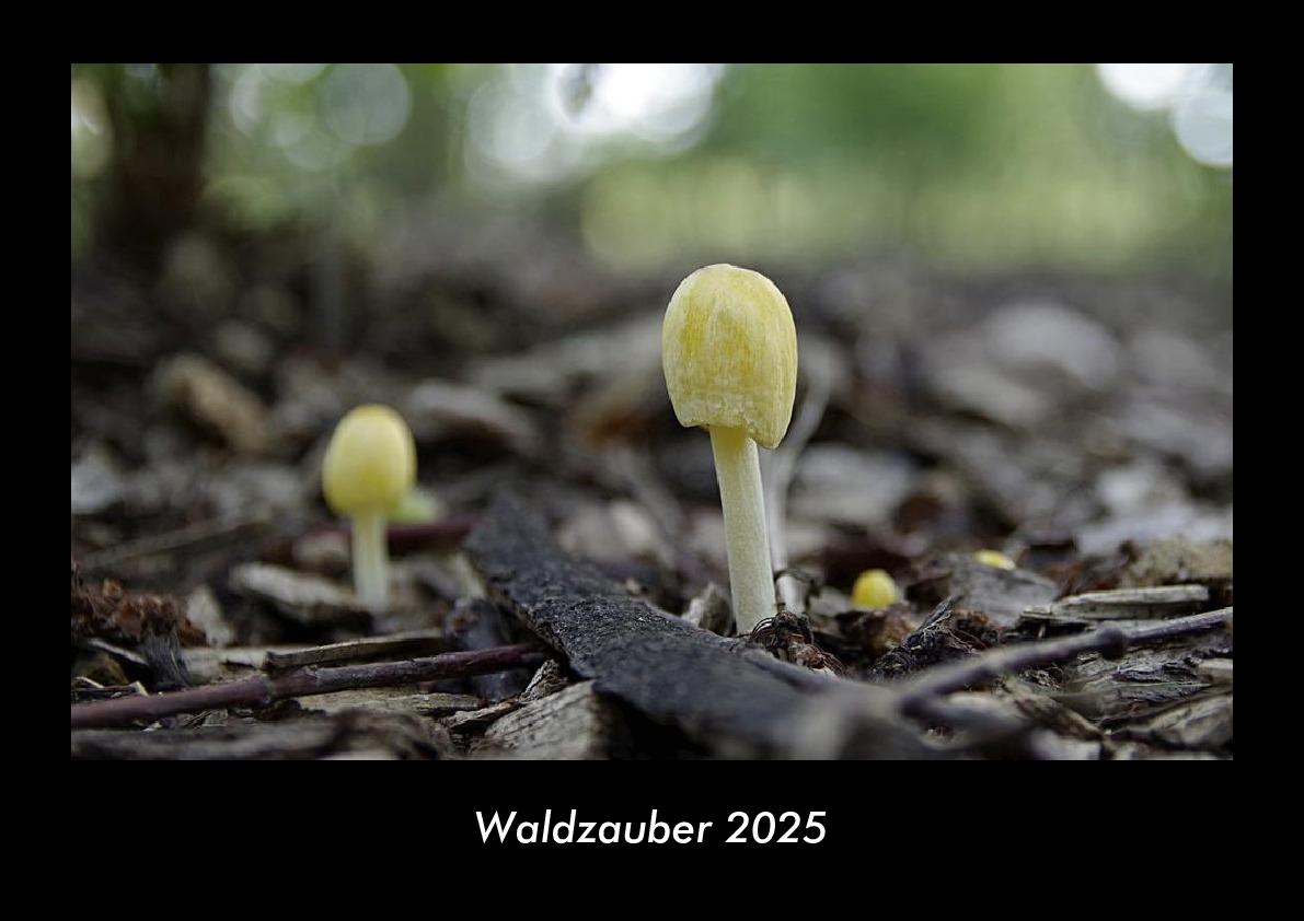 Waldzauber 2025 Fotokalender DIN A3