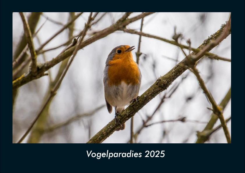 Vogelparadies 2025 Fotokalender DIN A4