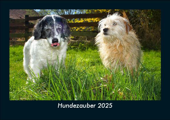Hundezauber 2025 Fotokalender DIN A5