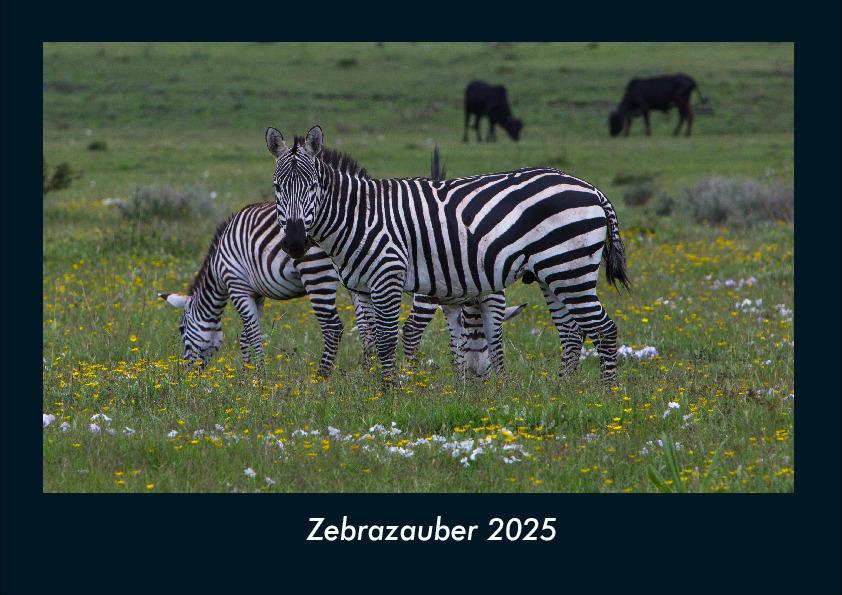 Zebrazauber 2025 Fotokalender DIN A4