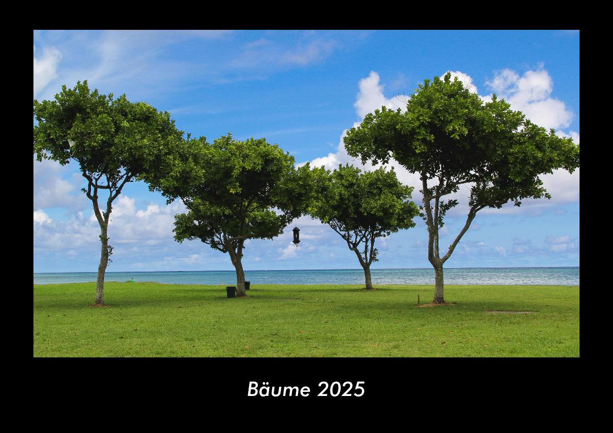 Bäume 2025 Fotokalender DIN A3