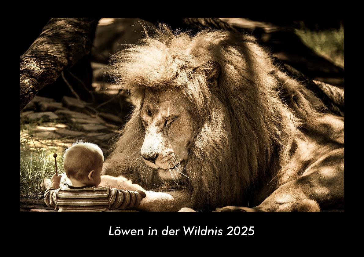 Löwen in der Wildnis 2025 Fotokalender DIN A3