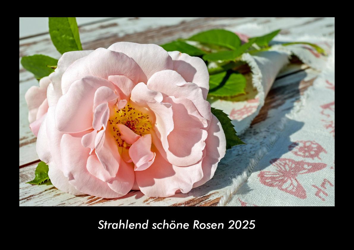 Strahlend schöne Rosen 2025 Fotokalender DIN A3