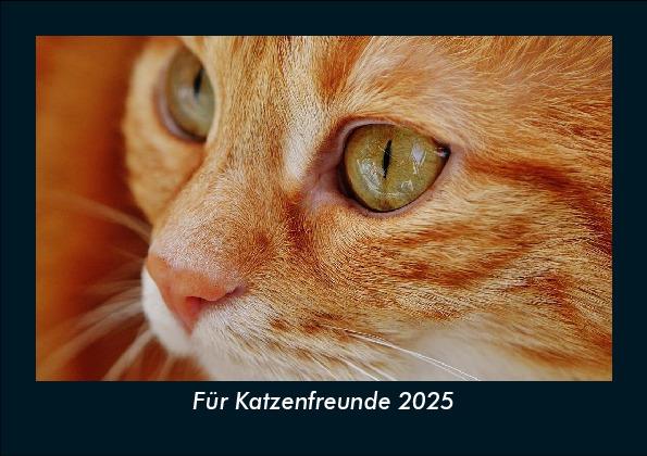 Für Katzenfreunde 2025 Fotokalender DIN A5