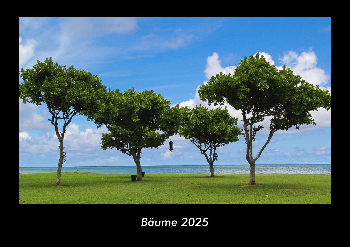Bäume 2025 Fotokalender DIN A3