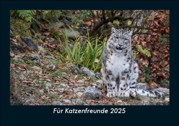 Für Katzenfreunde 2025 Fotokalender DIN A5