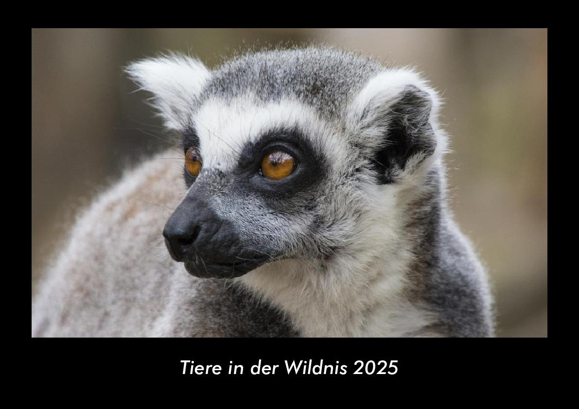 Tiere in der Wildnis 2025 Fotokalender DIN A3