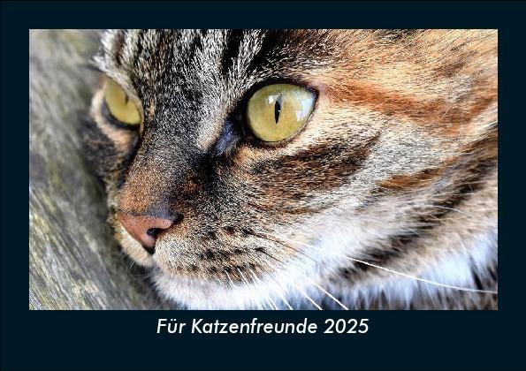 Für Katzenfreunde 2025 Fotokalender DIN A5
