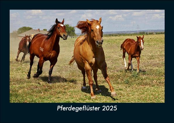 Pferdegeflüster 2025 Fotokalender DIN A5