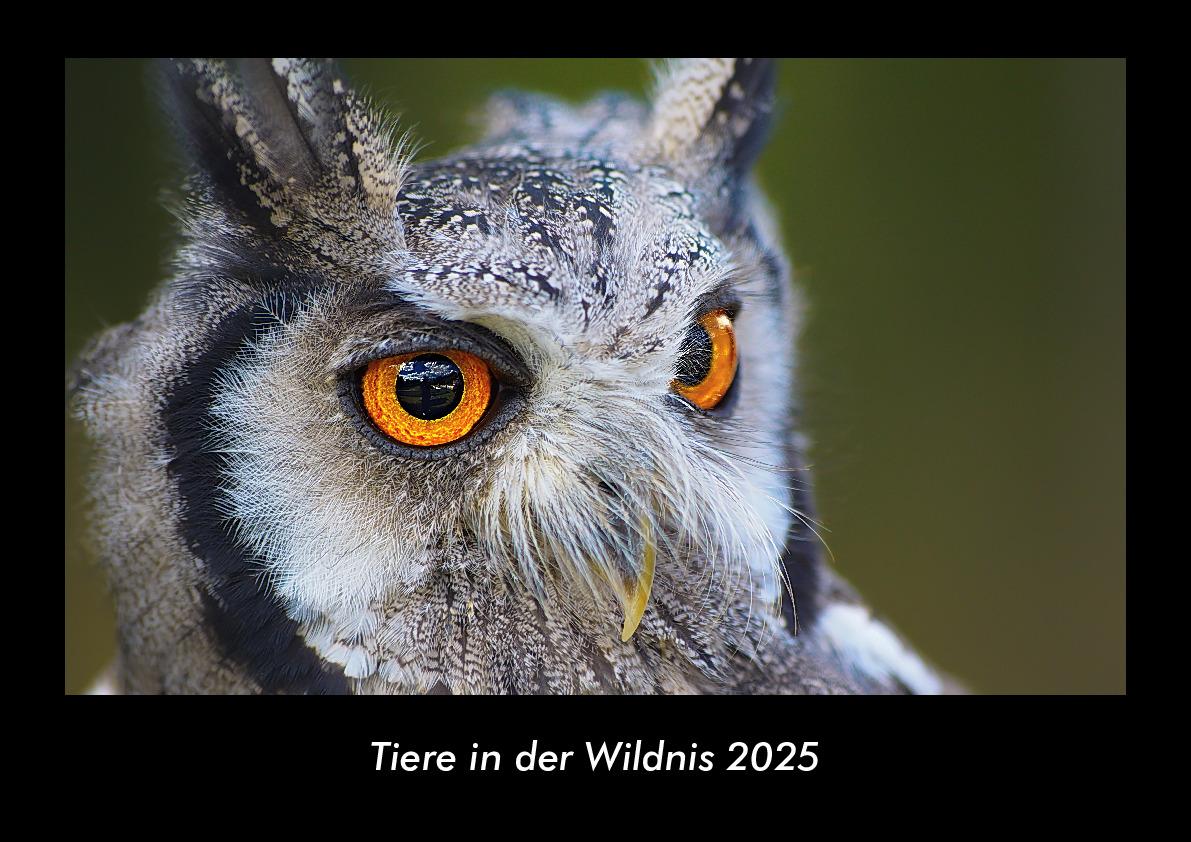Tiere in der Wildnis 2025 Fotokalender DIN A3