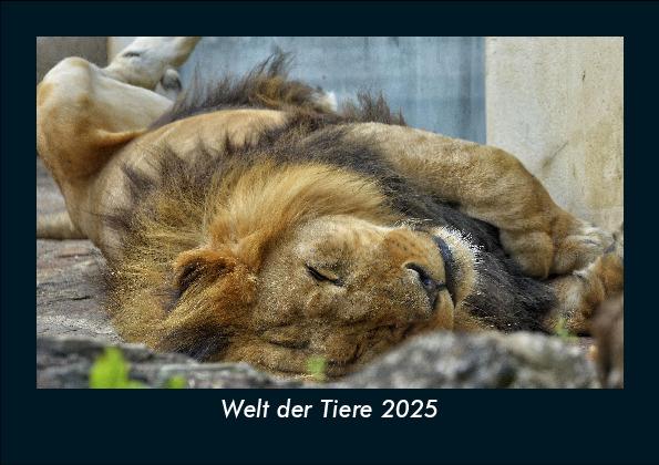 Welt der Tiere 2025 Fotokalender DIN A5