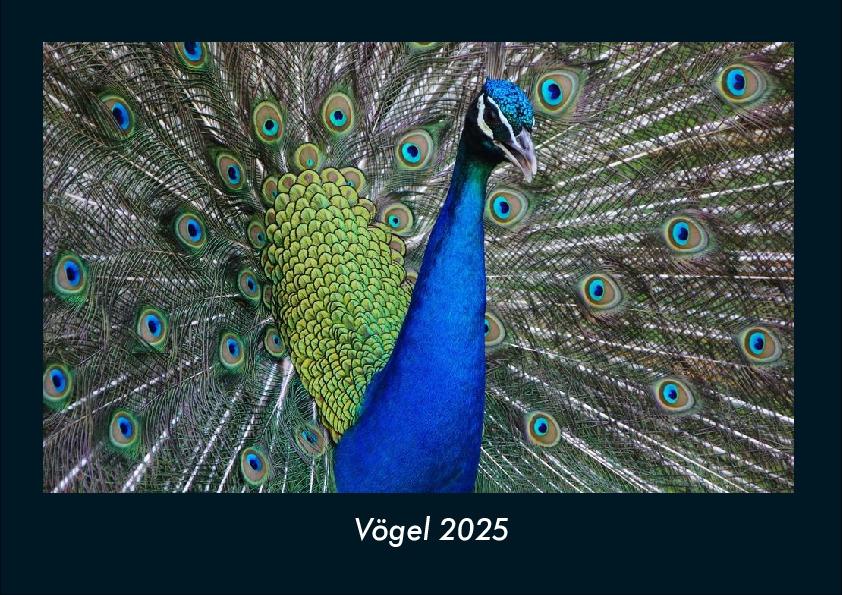 Vögel 2025 Fotokalender DIN A4
