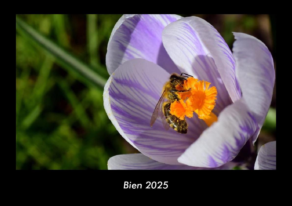 Bien 2025 Fotokalender DIN A3