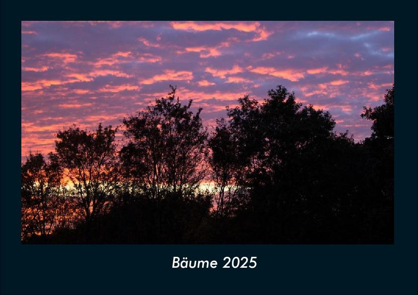 Bäume 2025 Fotokalender DIN A4