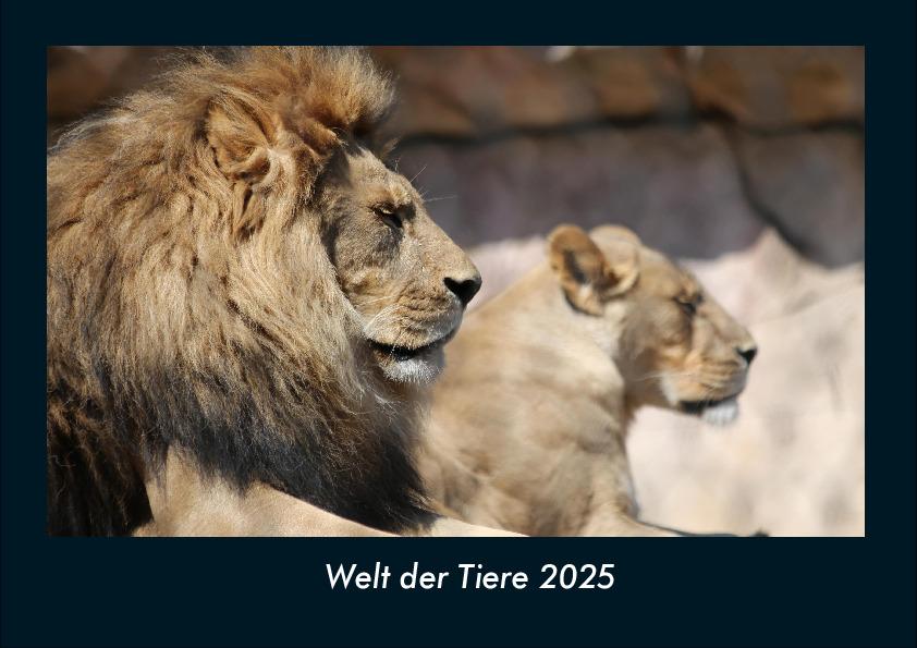 Welt der Tiere 2025 Fotokalender DIN A4