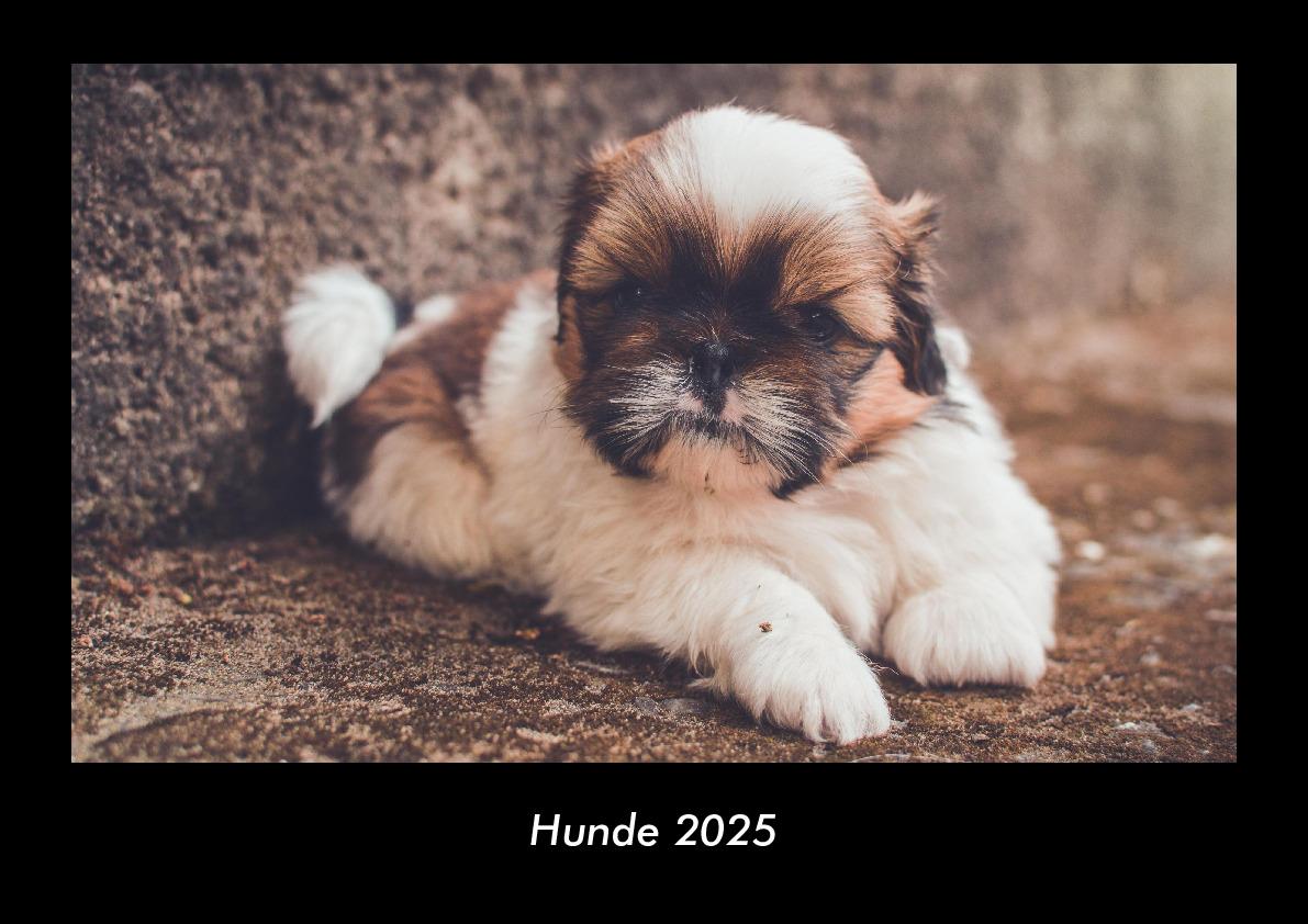 Hunde 2025 Fotokalender DIN A3