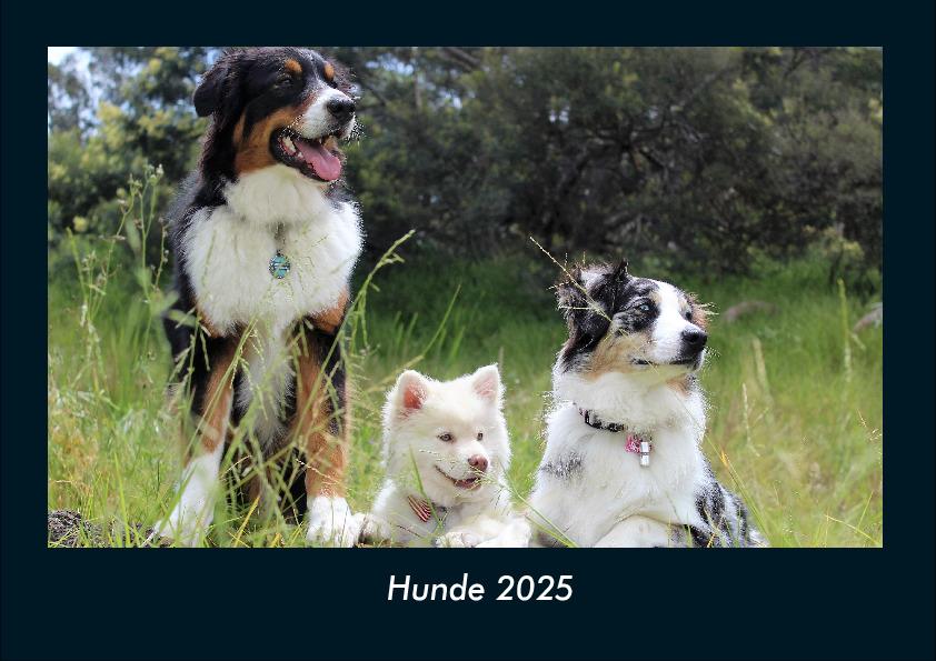 Hunde 2025 Fotokalender DIN A4