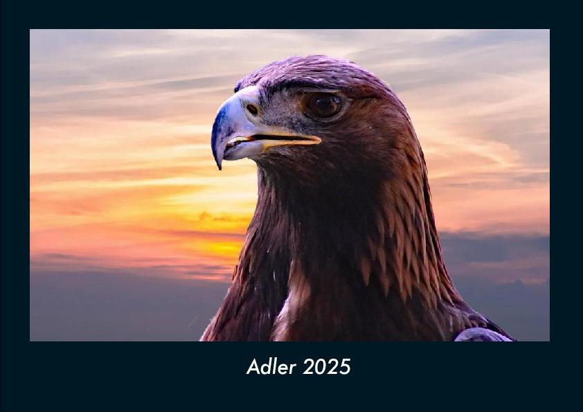 Adler 2025 Fotokalender DIN A4