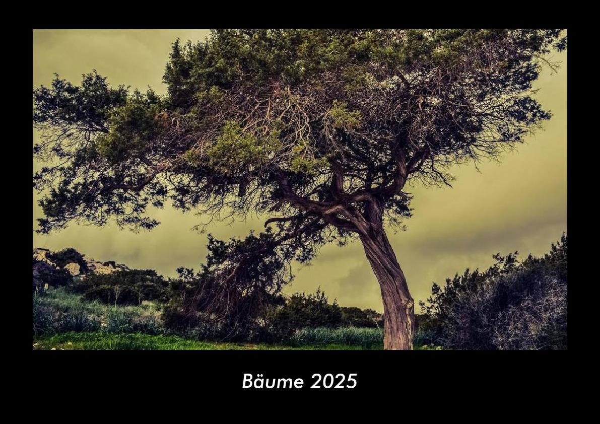 Bäume 2025 Fotokalender DIN A3