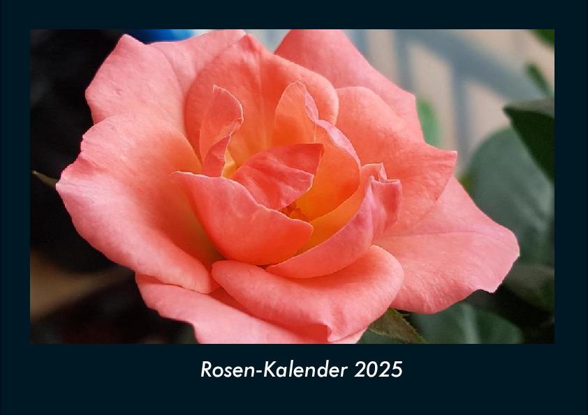 Rosen-Kalender 2025 Fotokalender DIN A4